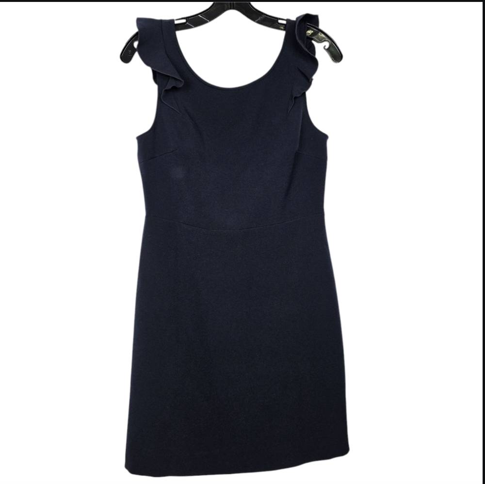 Club Monaco ruffle sleeves  Dress